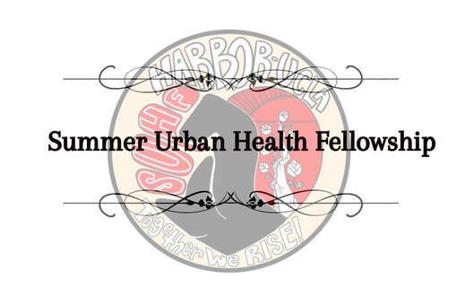 Harbor-UCLA Summer Urban Health Fellowship